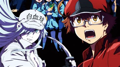 Hataraku saibou 2025 streaming