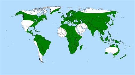 Carnivores Around The World 2025 𝚆𝚊𝚝𝚌𝚑 In 4K
